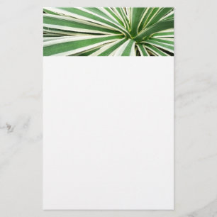 Papelería Agave Plant Green y White Strike