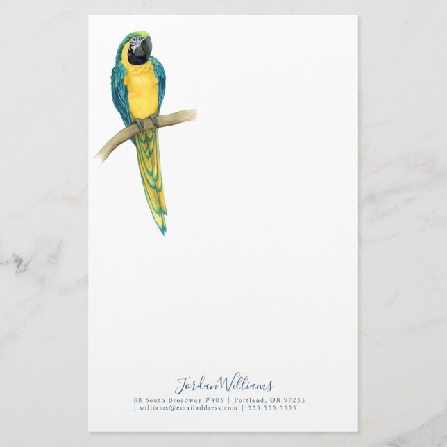 Papelería Agrega tu nombre| Macaw Verde azulado (Anverso)
