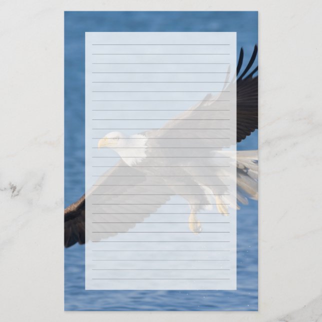 Papelería Águila calva en vuelo (Anverso)