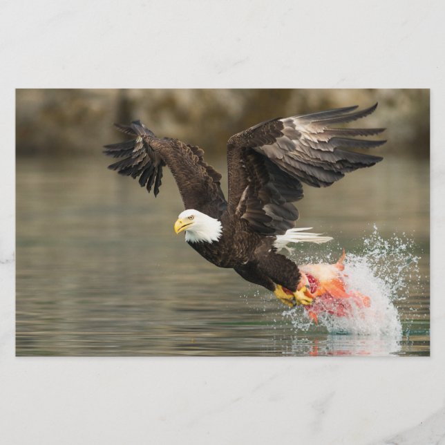 Papelería Águila calva explosiva (Anverso)