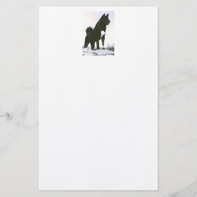 Papelería Akita inmóvil (Anverso)