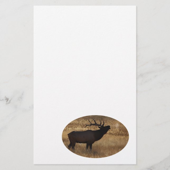 Papelería alces (Anverso)