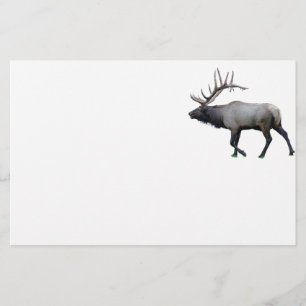Papelería Alces del Wapiti del sauce