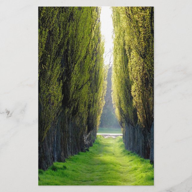 Papelería ALEJAWroclaw Polonia (Anverso)