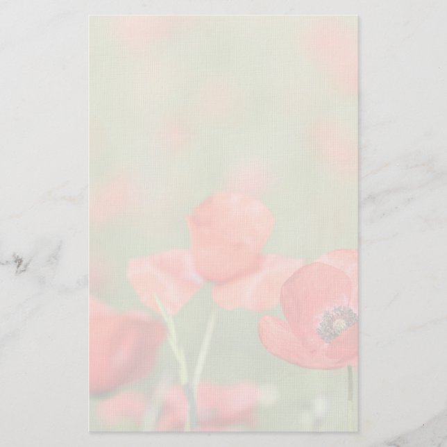 Papelería Amapolas en efectos de escritorio del campo de la (Anverso)