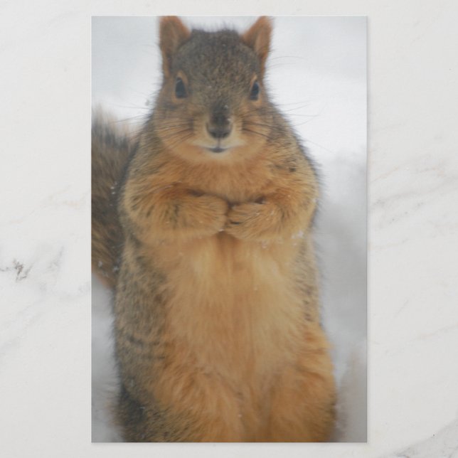 Papelería Amor a las ardillas (Anverso)