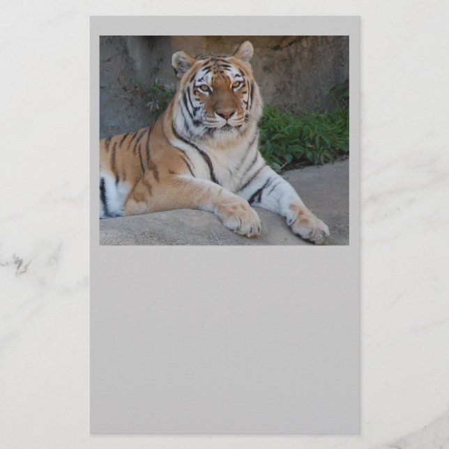 Papelería Amor a los tigres (Anverso)