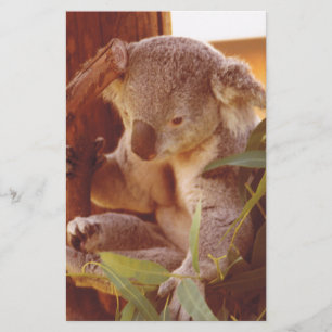 Papelería Amor de Koala