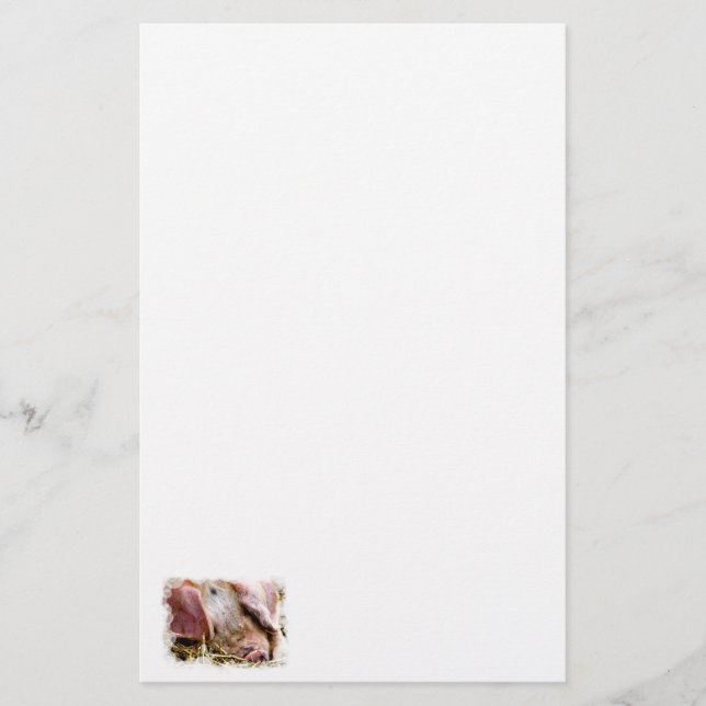 PAPELERÍA ANIMALES AGRÍCOLAS, CERDOS (Anverso)