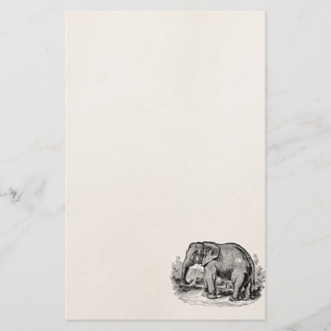 Papelería Animales personalizados elefante de los elefantes (Anverso)