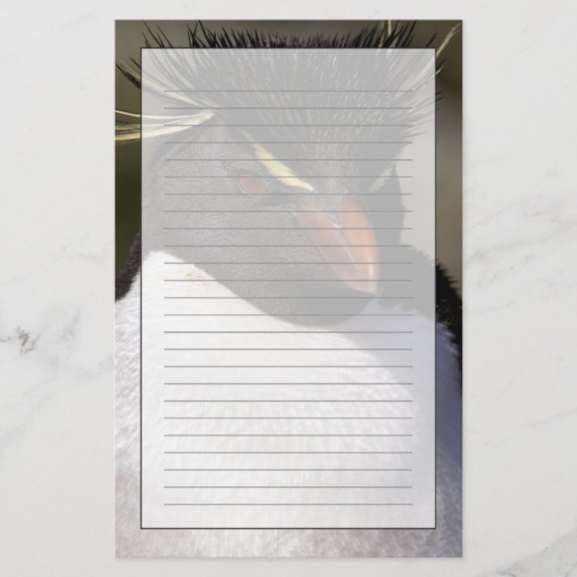 Papelería Antártida, Islas Subantárticas, Sur 5 (Anverso)