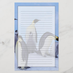 Papelería Antártida, Pingüinos Emperadores