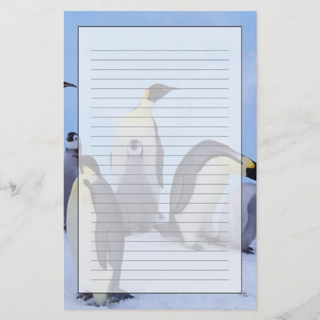 Papelería Antártida, Pingüinos Emperadores (Anverso)