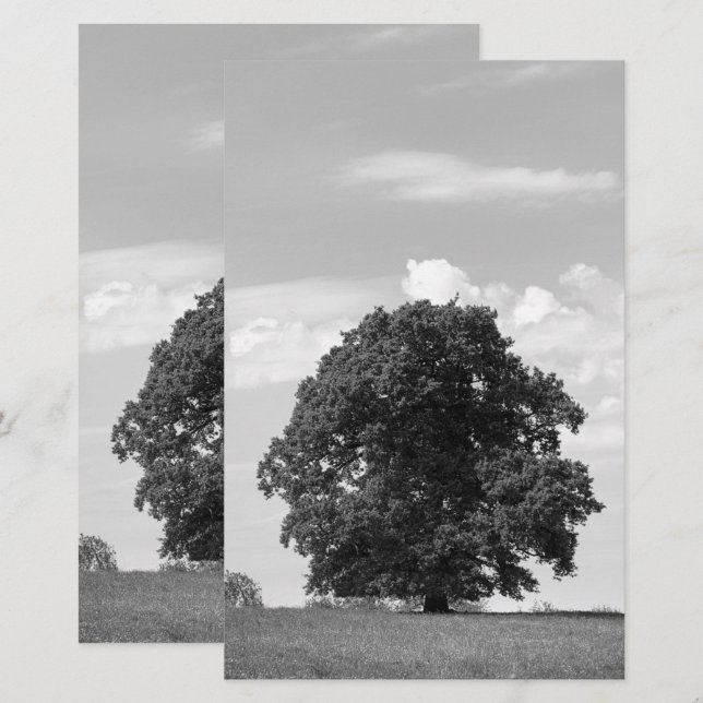 Papelería Árbol antiguo (Anverso / Reverso)