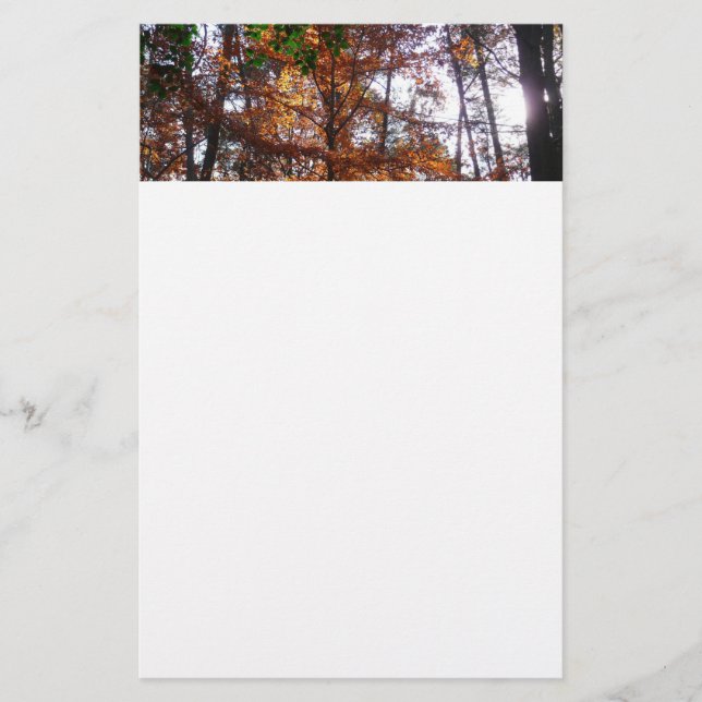 Papelería Arbol de luz solar a través del otoño en Greenbelt (Anverso)