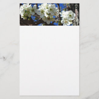 Papelería Árbol de peras florido de primavera de los Cluster