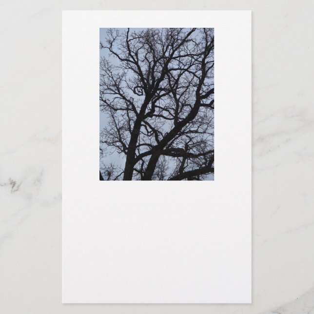 Papelería Árbol de vampiros (Anverso)
