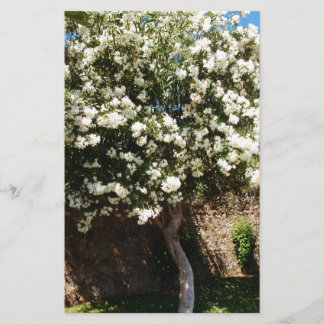 Papelería Árbol del jazmín en la floración