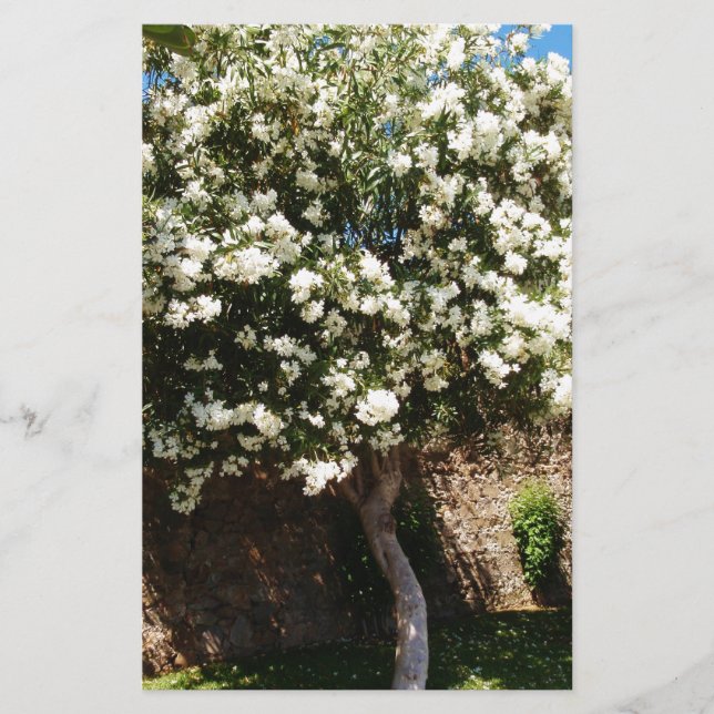 Papelería Árbol del jazmín en la floración (Anverso)