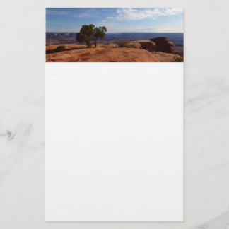 Papelería Árbol fuera de las rocas rojas I en Canyonlands