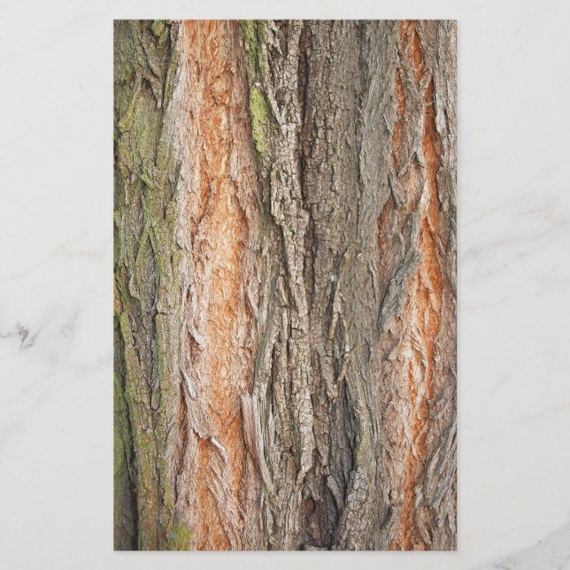 Papelería árbol viejo (Anverso)