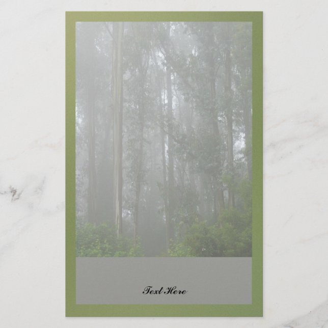 Papelería Árboles de niebla (Anverso)