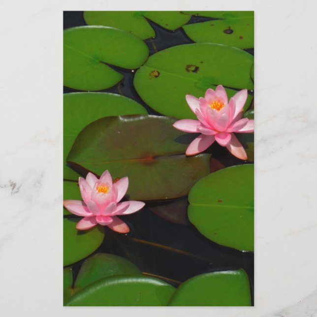 Papelería Aroma de flores de lirio de loto rosa, (Anverso)