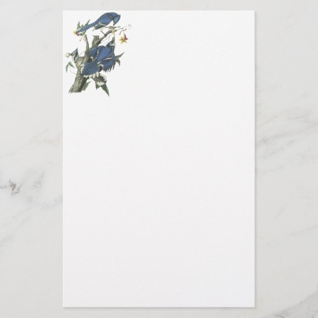 Papelería Arrendajo azul, Juan Audubon (Anverso)