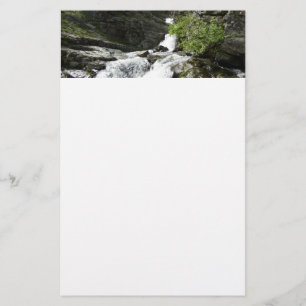 Papelería Arroyo Aster en el Parque Nacional Glacier