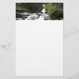 Papelería Arroyo Aster en el Parque Nacional Glacier