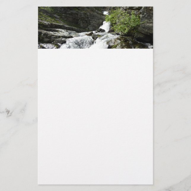 Papelería Arroyo Aster en el Parque Nacional Glacier (Anverso)