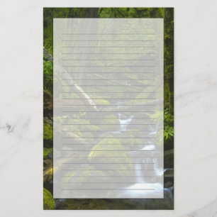 Papelería Arroyo de Selva Templada en el río Columbia