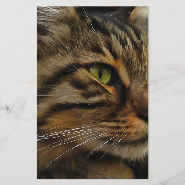 Papelería Aslan, El Gato De Tabby, De Larga Esperanza (Anverso)