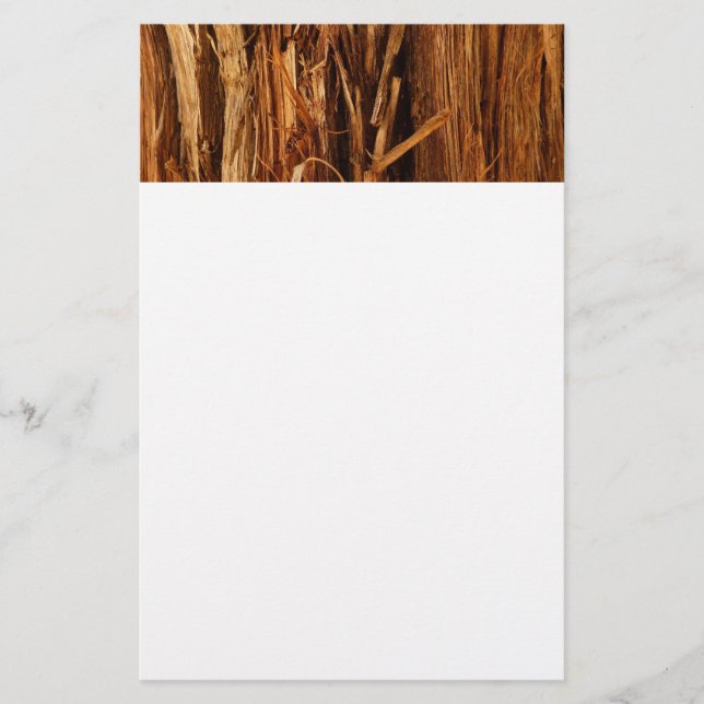 Papelería Aspecto de la corteza de madera con textura de ced (Anverso)