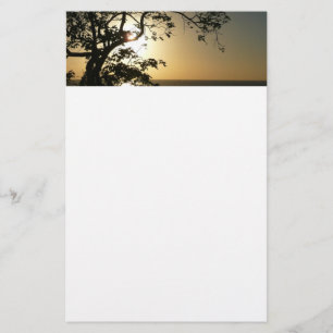 Papelería Atardecer a través de árboles II Fotografía tropic