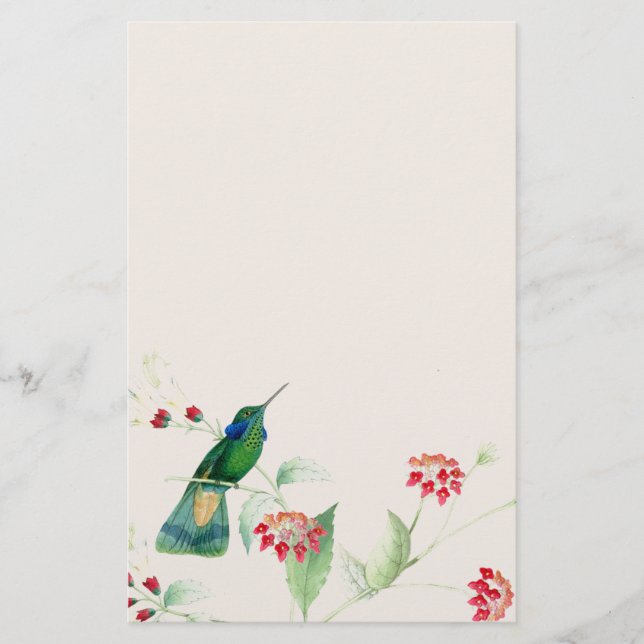 Papelería Aves colibríes Flores Flores Animales Florales De  (Anverso)