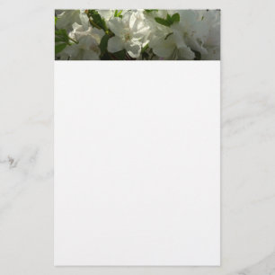 Papelería Azaleas blancas iluminadas por el sol Hermosas flo