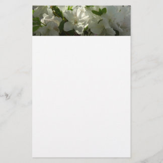 Papelería Azaleas blancas iluminadas por el sol Hermosas flo