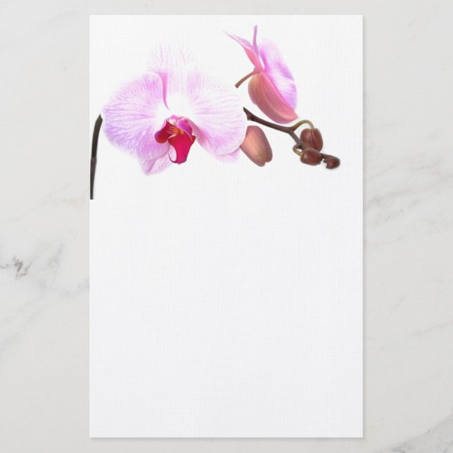 Papelería Aziza Orchid Blossoms (Anverso)