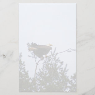 Papelería Bald Eagle