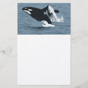 Papelería Ballena Orka
