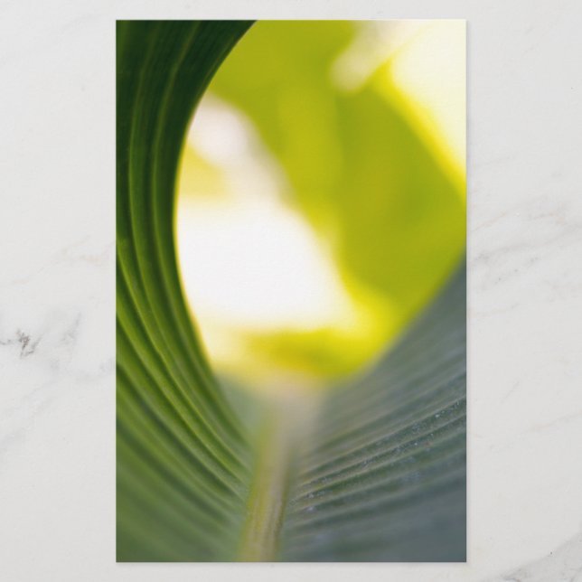 Papelería Banana Leaf (Anverso)