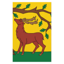 Bandera de Berkshire (Reino Unido)