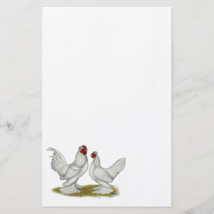 Papelería Bantams de Birmania