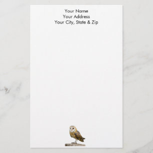 Papelería Barn Owl