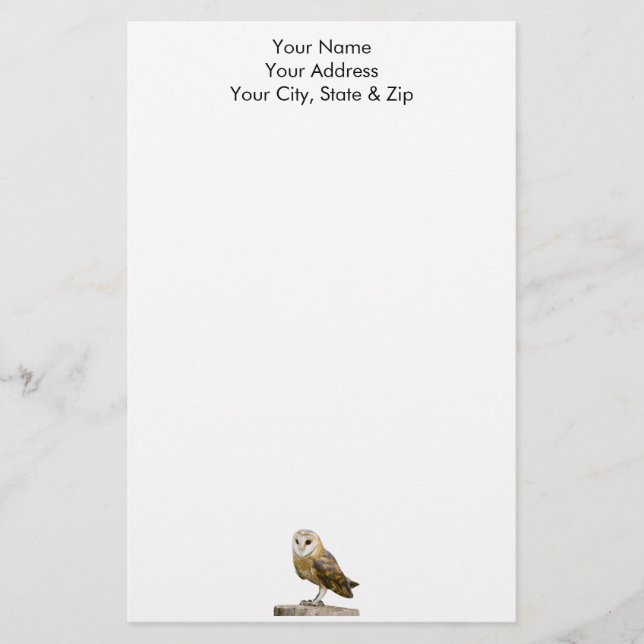 Papelería Barn Owl (Anverso)