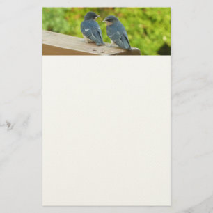 Papelería Bebé Traga fotografías de aves naturales