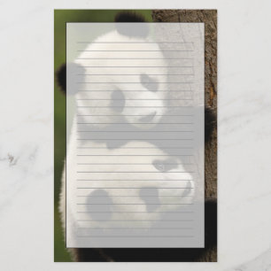 Papelería Bebés de panda gigante (Ailuropoda melanoleuca) 2