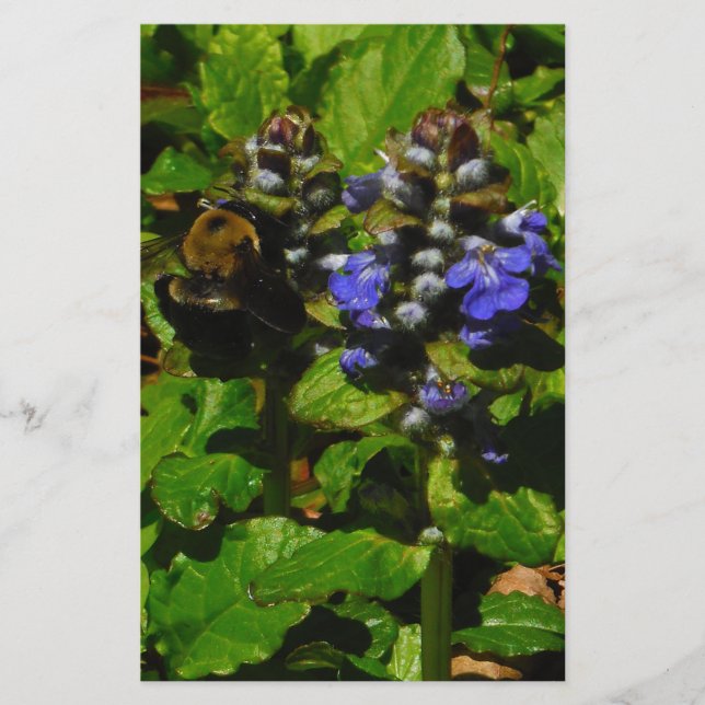 Papelería Bee de abejas moradas y abeja de burbujas (Anverso)