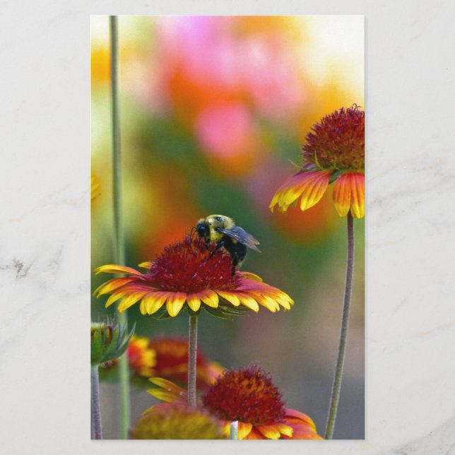 Papelería Bee on Gaillardia (Anverso)